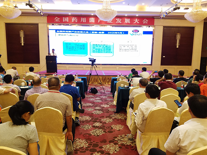 專(zhuān)題報(bào)道