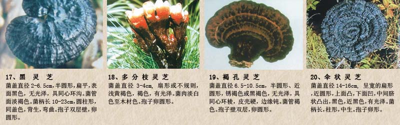 圖片關鍵詞 圖片關鍵詞