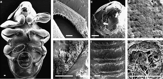 圖片關(guān)鍵詞 圖片關(guān)鍵詞