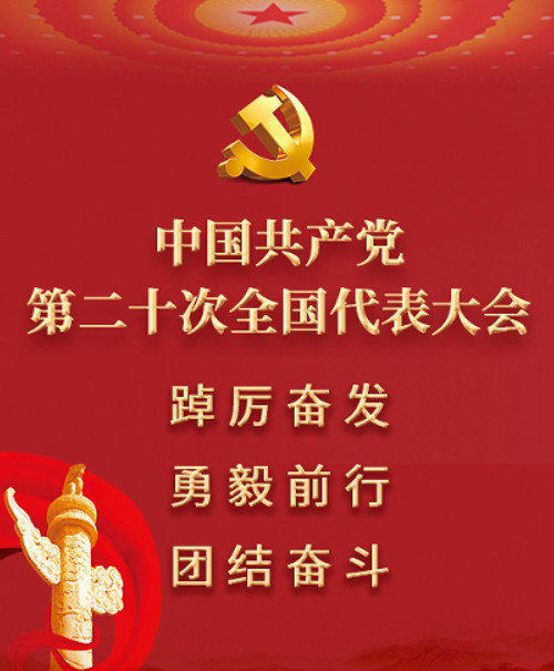 二十次全國代表大會(huì)