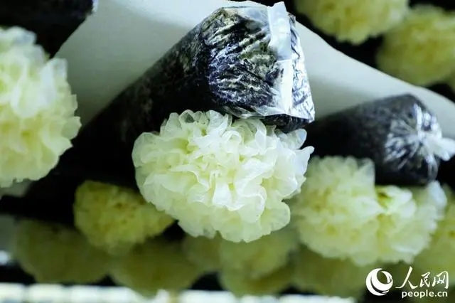 圖片關(guān)鍵詞 圖片關(guān)鍵詞