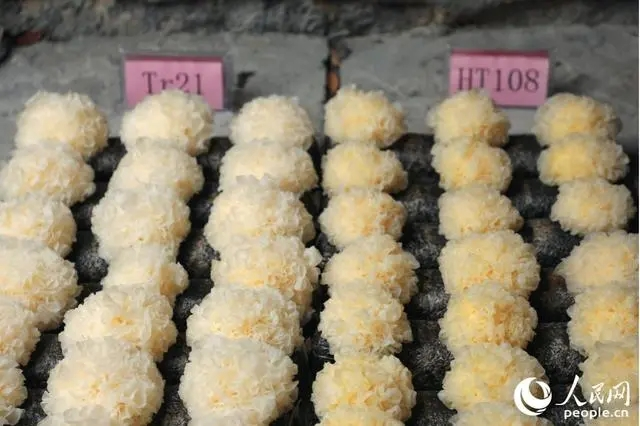 圖片關(guān)鍵詞 圖片關(guān)鍵詞