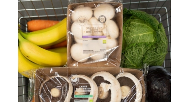 行業(yè)動態(tài)