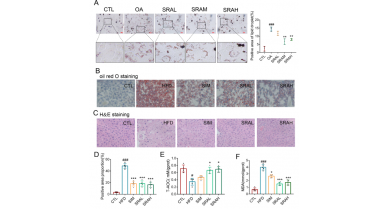 行業(yè)動(dòng)態(tài)