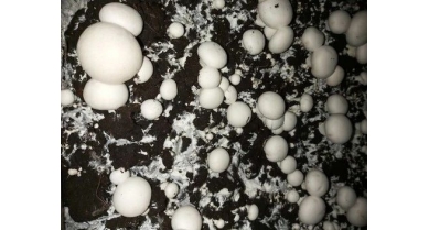 行業(yè)動(dòng)態(tài)