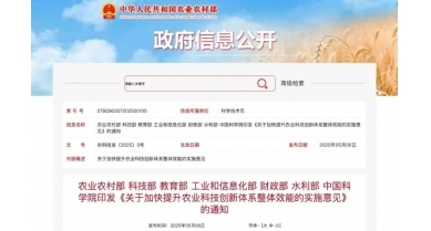 行業(yè)動(dòng)態(tài)